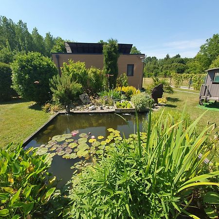 Gite Et Chambre D'Hotes En Champagne Courtisols Buitenkant foto